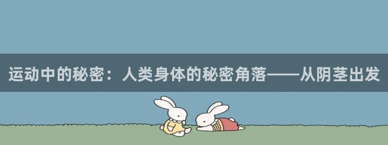 MK体育官方正版app官方：运动中的秘密：人类身体的