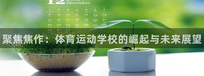 MK体育官方正版app娱乐：聚焦焦作：体育运动学校的