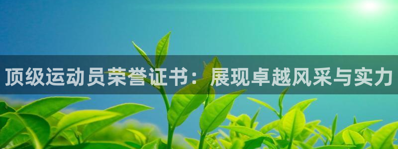 MK体育官方正版app新能源：顶级运动员荣誉证书：展