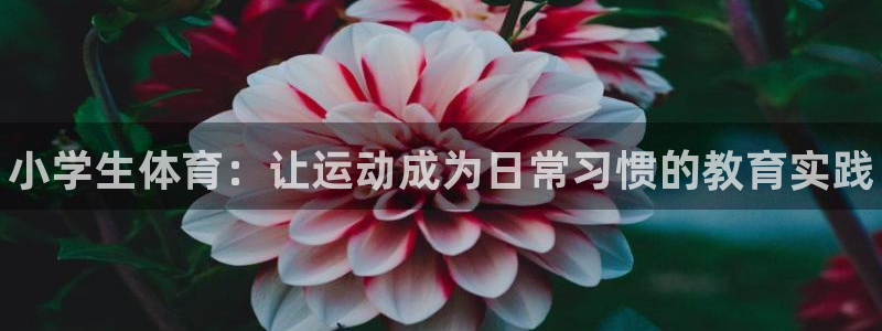 MK体育官方正版app娱乐：小学生体育：让运动成为日