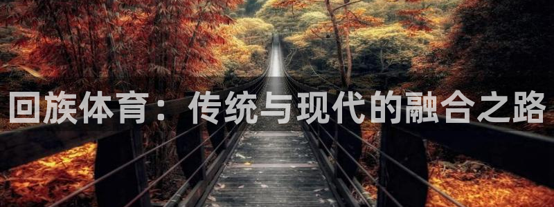 MK体育官方正版app娱乐首页官网下载：回族体育：传