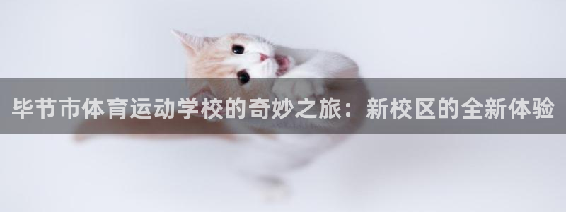 MK体育官网下载招商电话是多少啊：毕节市体育运动学校的奇妙之