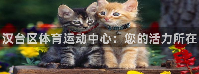 MK体育官网下载平台注册流程视频：汉台区体育运动中心