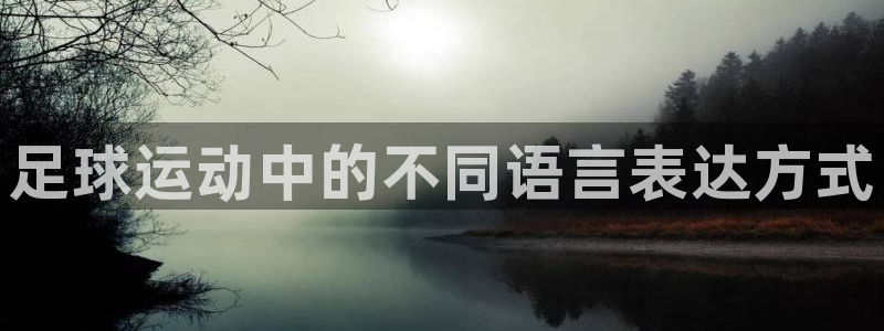 MK体育官网下载平台注册流程视频：足球运动中的不同语