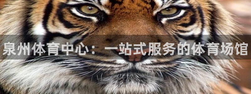 MK体育官网下载平台假的吗是真的吗：泉州体育中心：一