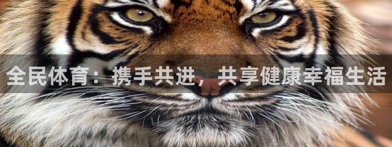 MK体育官方正版app开户：全民体育：携手共进，共享