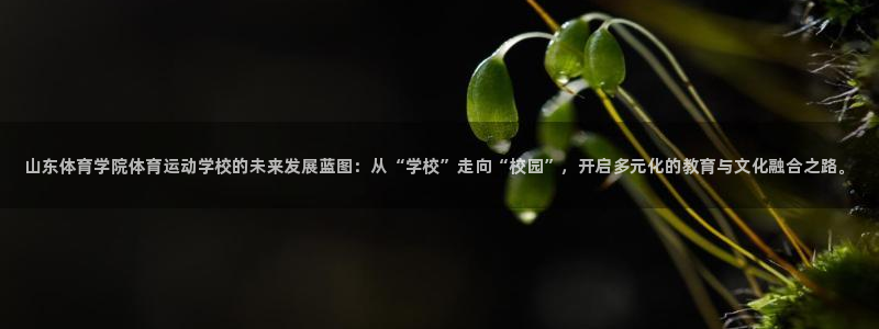 MK体育官网下载平台注册要钱吗：山东体育学院体育运动