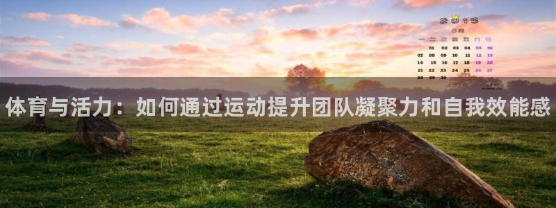 MK体育官方正版app集团E.ON