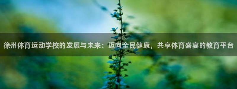 MK体育官网下载招商电话：徐州体育运动学校的发展与未来：迈向