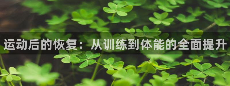 MK体育官方正版app娱乐是那个系列的台子：运动后的恢复：从