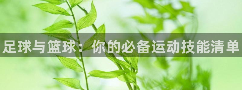 MK体育官网下载招商电话地址是多少：足球与篮球：你的必备运动