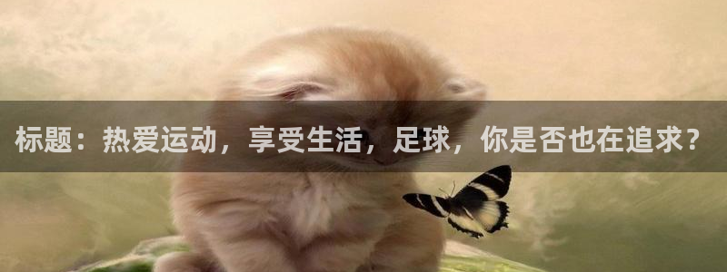 MK体育官方正版app神州：标题：热爱运动，享受生活，足球，