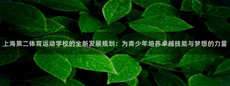 MK体育官方正版app集团官网首页：上海第二体育运动学校的全